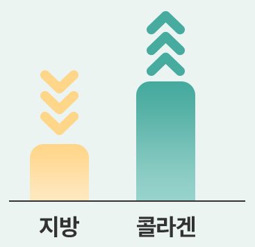 지방은 내려가고(↓) 콜라겐은 올라가는(↑) 막대 도식