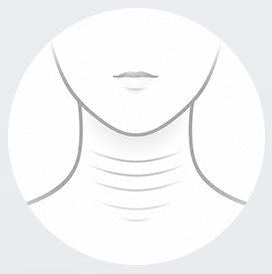 목의 패인 가로주름 선 일러스트