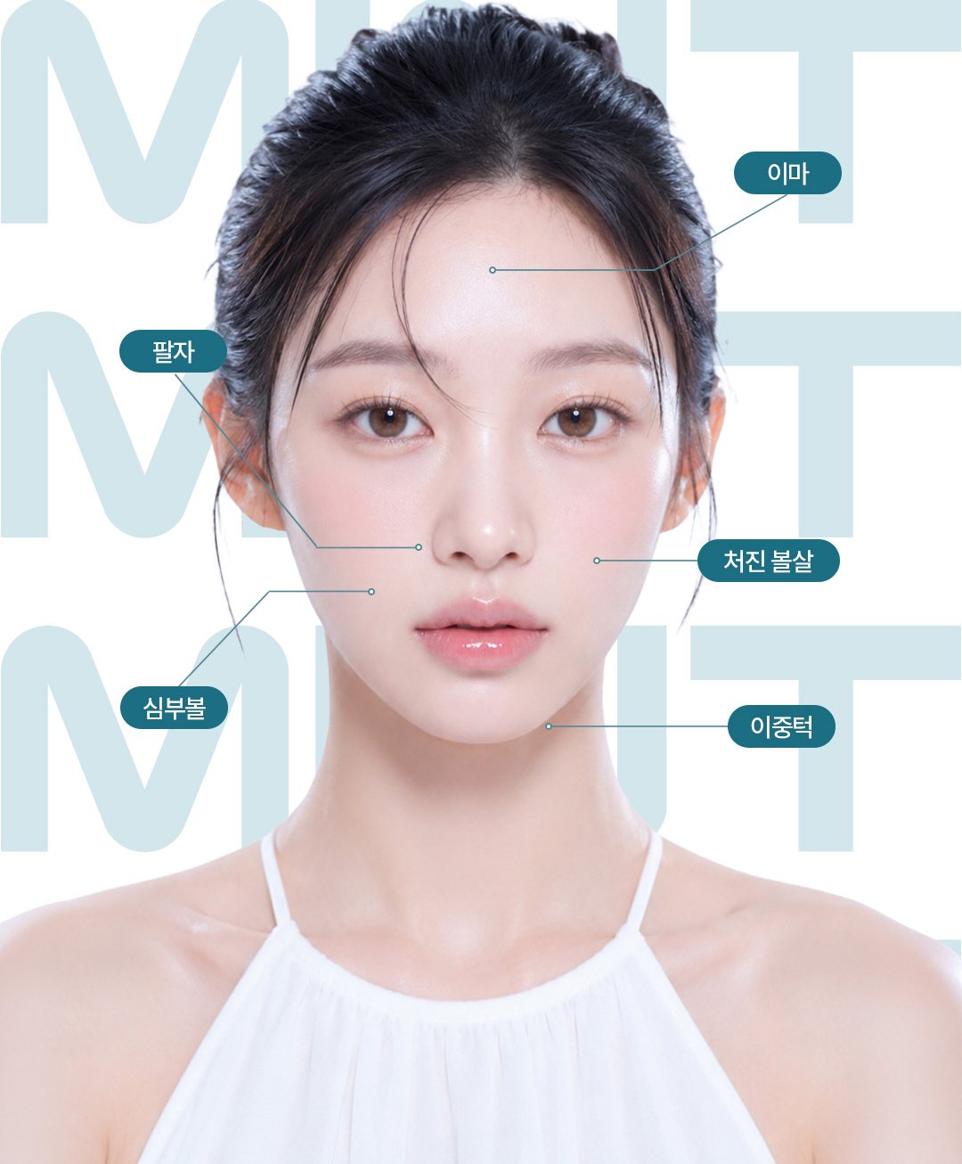 여성 모델 정면 얼굴 위 추천 적용 부위 표시(이마·팔자·처진 볼살·심부볼·이중턱), 배경 MINT 글자