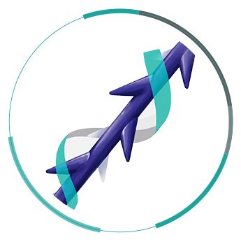 민트실 측면 구조 — 나선형 돌기 실 일러스트