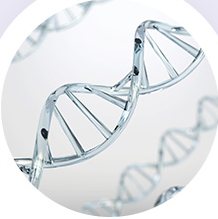 피부 두께 개선 — DNA 나선 이미지