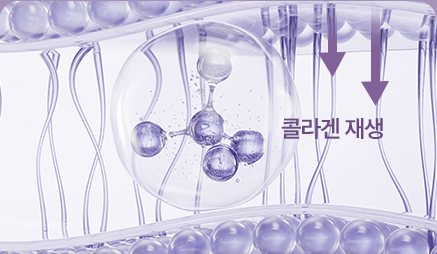 시술 후 콜라겐 재생 단면