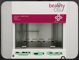세포 작업대(beauty CELL)