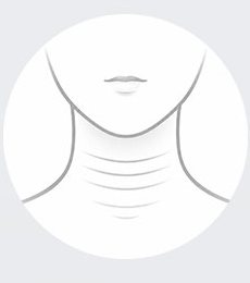 가로 목주름이 그려진 목 선화
