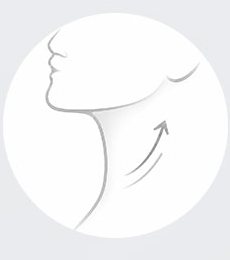 턱 밑 라인과 위쪽 화살표 목 옆모습 선화