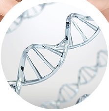 DNA 이중나선 이미지