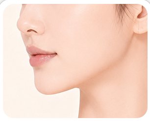 과도한 지방 조직 제거 일러스트