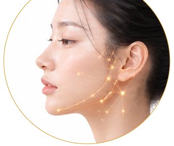 구조적인 얼굴 디자인 - 얼굴 측면 모델