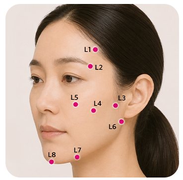 L 코드 주입 포인트(L1~L8) 얼굴 도식