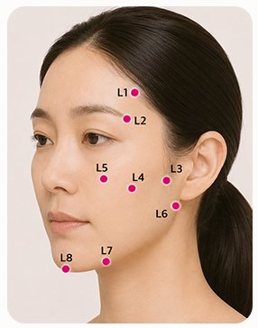 L 코드(Lifting) 지지 포인트 L1~L8