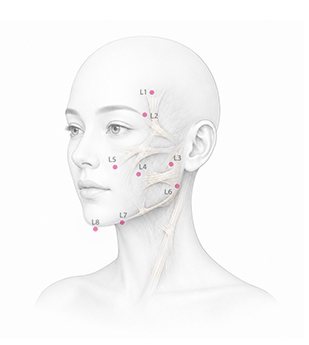 지지 포인트 설계 얼굴 일러스트