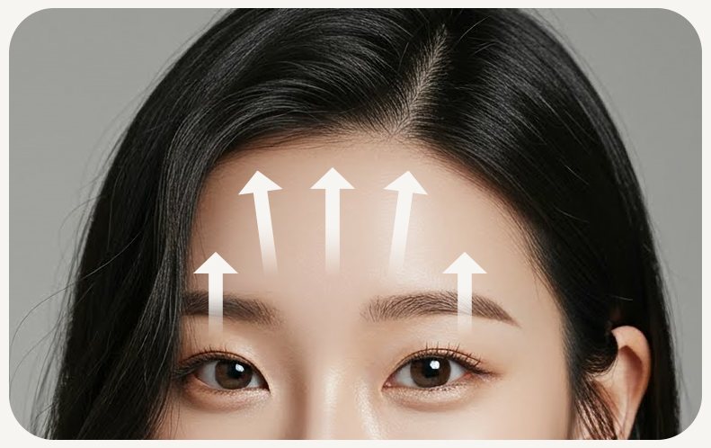 이마와 눈썹을 위로 끌어올리는 화살표 표시